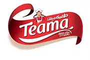 Teama-italdoor