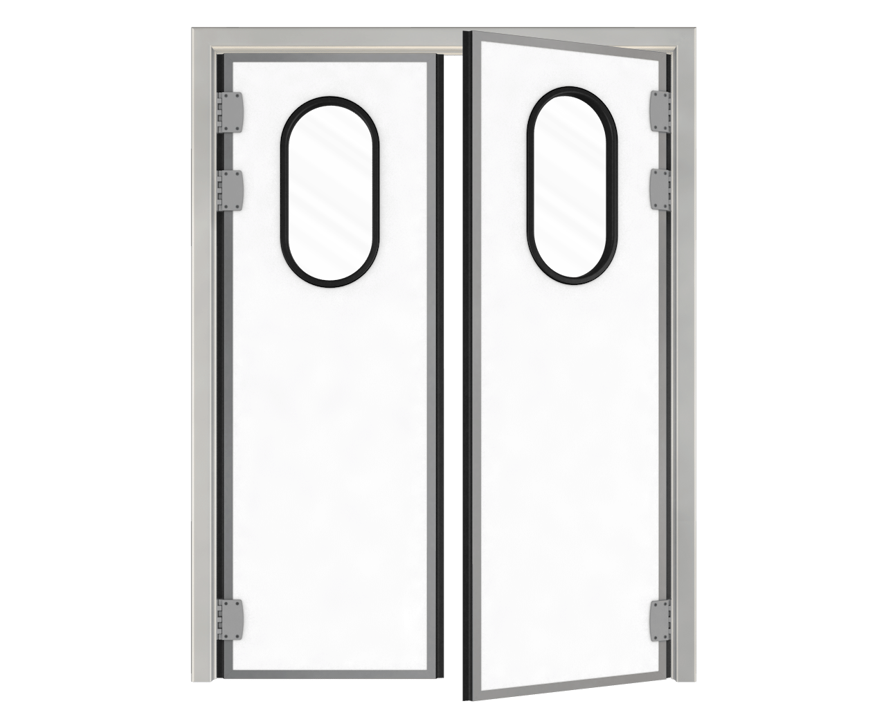 Swing Door